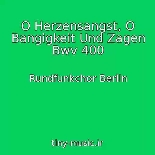 کاور آهنگ O Herzensangst, O Bangigkeit Und Zagen Bwv 400 از Rundfunkchor Berlin