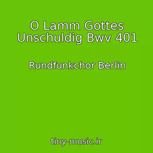 کاور آهنگ O Lamm Gottes Unschuldig Bwv 401 از Rundfunkchor Berlin
