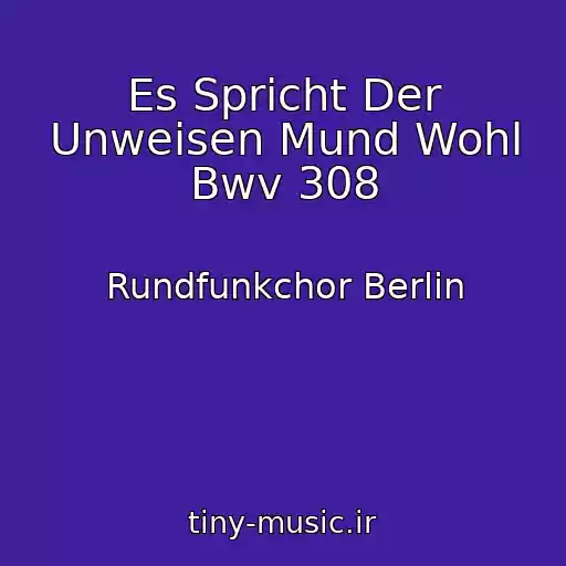 کاور آهنگ Es Spricht Der Unweisen Mund Wohl Bwv 308 از Rundfunkchor Berlin