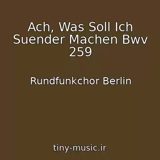 کاور آهنگ Ach, Was Soll Ich Suender Machen Bwv 259 از Rundfunkchor Berlin