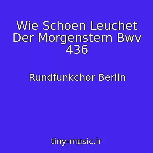 کاور آهنگ Wie Schoen Leuchet Der Morgenstern Bwv 436 از Rundfunkchor Berlin