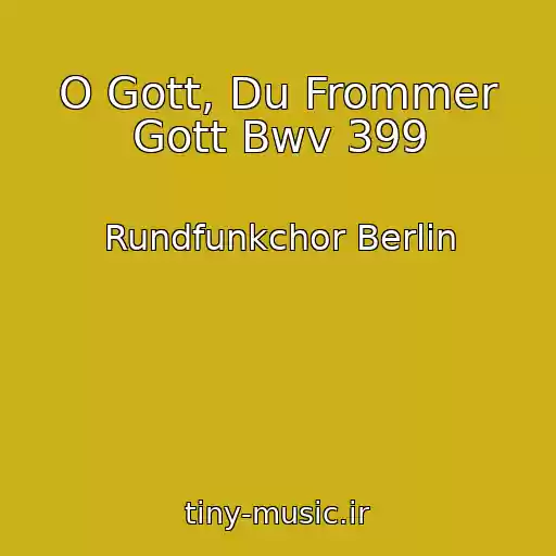 کاور آهنگ O Gott, Du Frommer Gott Bwv 399 از Rundfunkchor Berlin