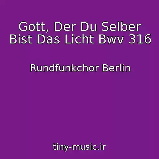 کاور آهنگ Gott, Der Du Selber Bist Das Licht Bwv 316 از Rundfunkchor Berlin