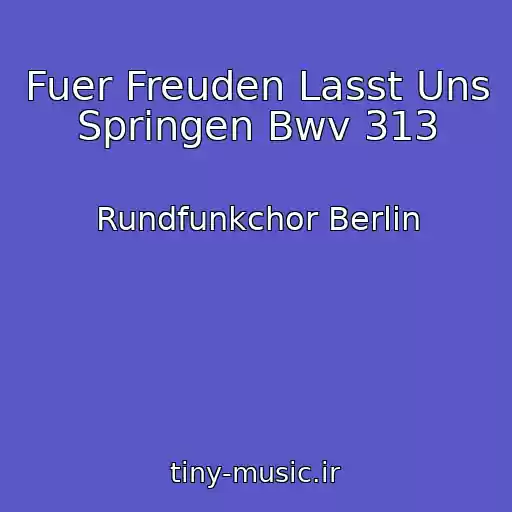 کاور آهنگ Fuer Freuden Lasst Uns Springen Bwv 313 از Rundfunkchor Berlin