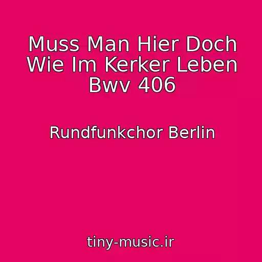 کاور آهنگ Muss Man Hier Doch Wie Im Kerker Leben Bwv 406 از Rundfunkchor Berlin