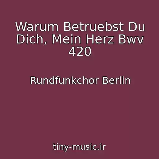کاور آهنگ Warum Betruebst Du Dich, Mein Herz Bwv 420 از Rundfunkchor Berlin