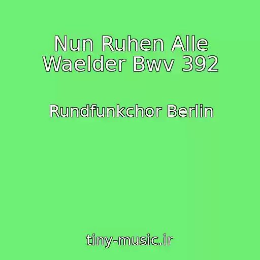کاور آهنگ Nun Ruhen Alle Waelder Bwv 392 از Rundfunkchor Berlin
