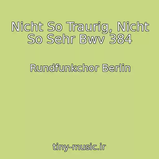 کاور آهنگ Nicht So Traurig, Nicht So Sehr Bwv 384 از Rundfunkchor Berlin