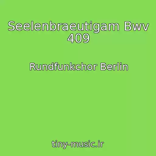 کاور آهنگ Seelenbraeutigam Bwv 409 از Rundfunkchor Berlin