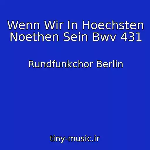 کاور آهنگ Wenn Wir In Hoechsten Noethen Sein Bwv 431 از Rundfunkchor Berlin
