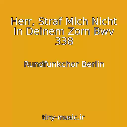 کاور آهنگ Herr, Straf Mich Nicht In Deinem Zorn Bwv 338 از Rundfunkchor Berlin
