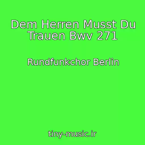 کاور آهنگ Dem Herren Musst Du Trauen Bwv 271 از Rundfunkchor Berlin