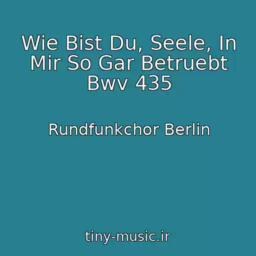 کاور آهنگ Wie Bist Du, Seele, In Mir So Gar Betruebt Bwv 435 از Rundfunkchor Berlin