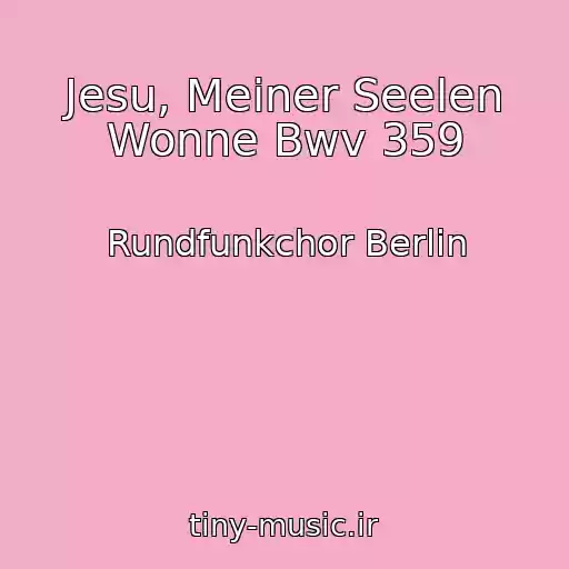 کاور آهنگ Jesu, Meiner Seelen Wonne Bwv 359 از Rundfunkchor Berlin