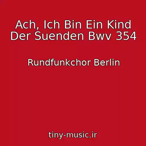 کاور آهنگ Ach, Ich Bin Ein Kind Der Suenden Bwv 354 از Rundfunkchor Berlin