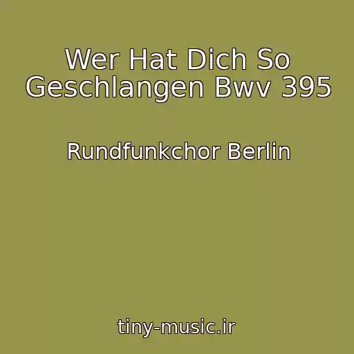 کاور آهنگ Wer Hat Dich So Geschlangen Bwv 395 از Rundfunkchor Berlin