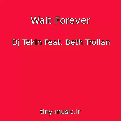 کاور آهنگ Wait Forever از Dj Tekin Feat. Beth Trollan