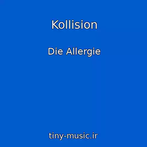 کاور آهنگ Kollision از Die Allergie