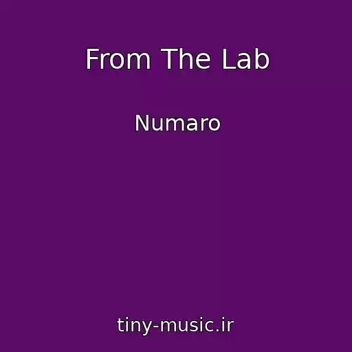 کاور آهنگ From The Lab از Numaro