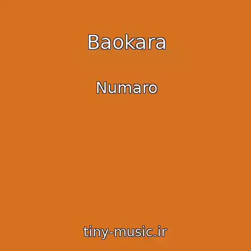 کاور آهنگ Baokara از Numaro