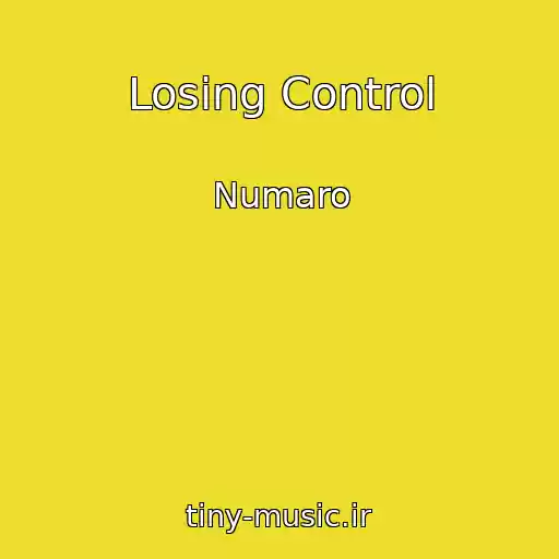 کاور آهنگ Losing Control از Numaro