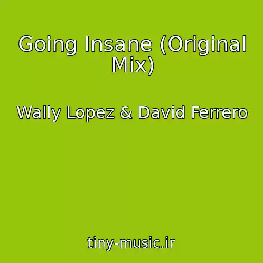 کاور آهنگ Going Insane (Original Mix) از Wally Lopez & David Ferrero