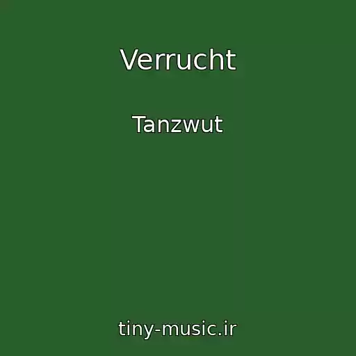 کاور آهنگ Verrucht از Tanzwut
