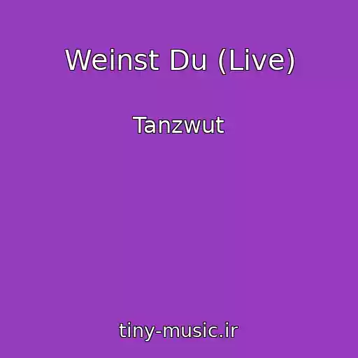 کاور آهنگ Weinst Du (Live) از Tanzwut