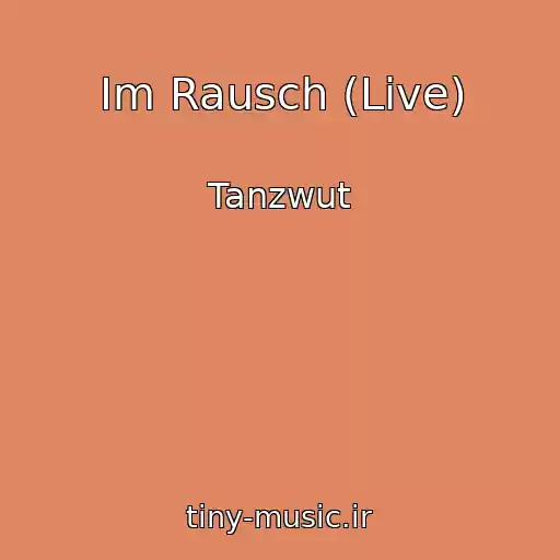 کاور آهنگ Im Rausch (Live) از Tanzwut