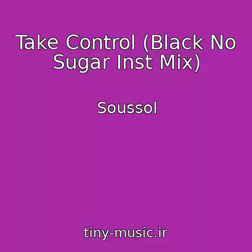 کاور آهنگ Take Control (Black No Sugar Inst Mix) از Soussol