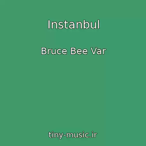 کاور آهنگ Instanbul از Bruce Bee Var