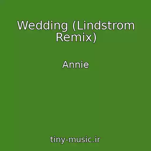کاور آهنگ Wedding (Lindstrom Remix) از Annie
