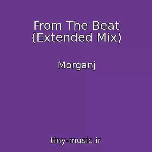 کاور آهنگ From The Beat (Extended Mix) از Morganj