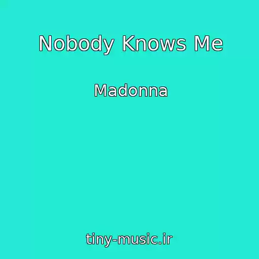 کاور آهنگ Nobody Knows Me از Madonna