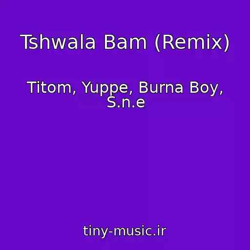 کاور آهنگ Tshwala Bam (Remix) از Titom, Yuppe, Burna Boy, S.n.e