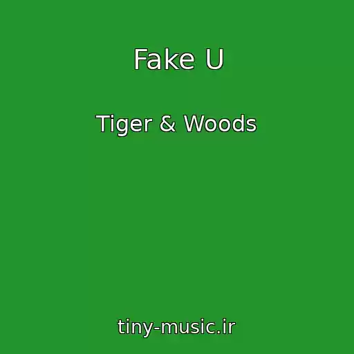 کاور آهنگ Fake U از Tiger & Woods