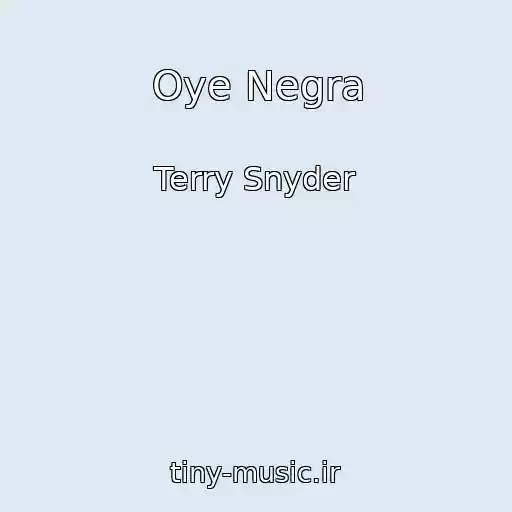 کاور آهنگ Oye Negra از Terry Snyder