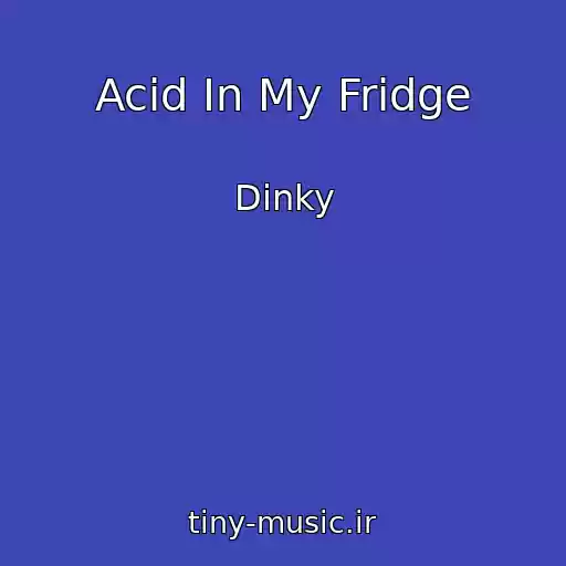 کاور آهنگ Acid In My Fridge از Dinky