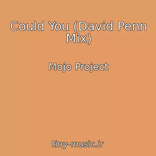 کاور آهنگ Could You (David Penn Mix) از Mojo Project