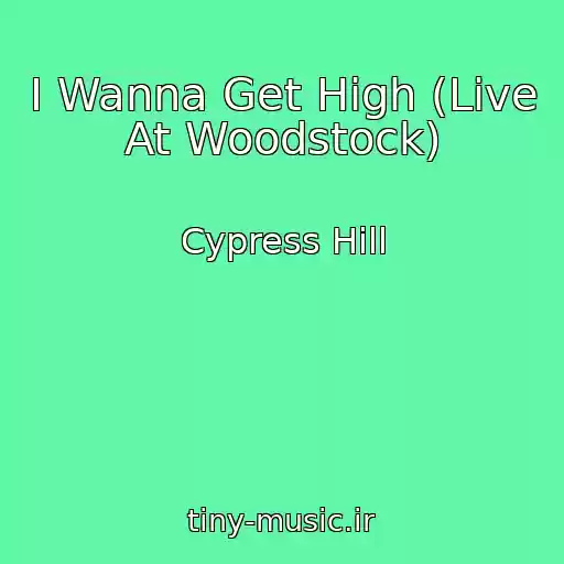 کاور آهنگ I Wanna Get High (Live At Woodstock) از Cypress Hill