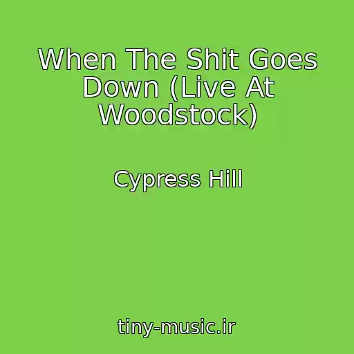 کاور آهنگ When The Shit Goes Down (Live At Woodstock) از Cypress Hill