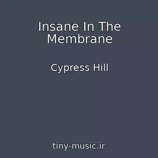 کاور آهنگ Insane In The Membrane از Cypress Hill