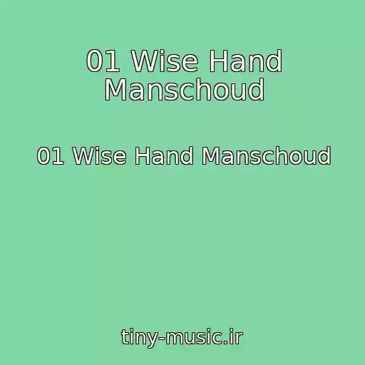 کاور آهنگ 01 Wise Hand Manschoud از 01 Wise Hand Manschoud