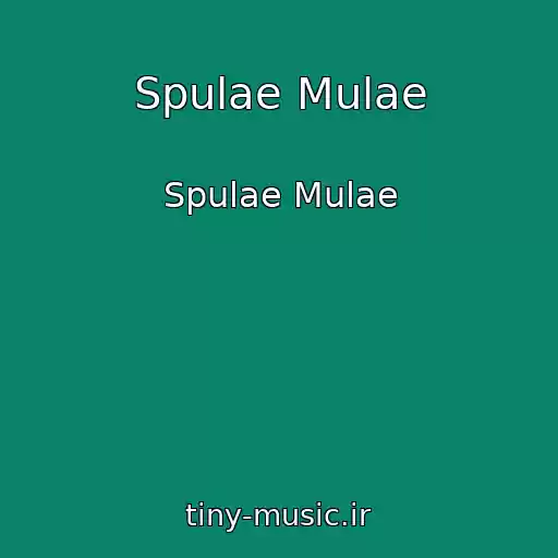 کاور آهنگ Spulae Mulae از Spulae Mulae