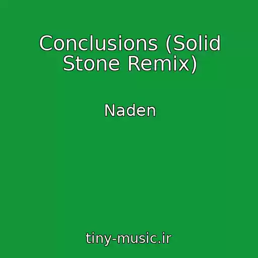 کاور آهنگ Conclusions (Solid Stone Remix) از Naden