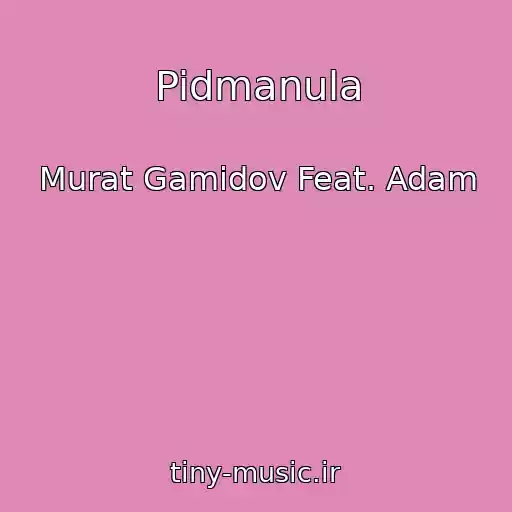 کاور آهنگ Pidmanula از Murat Gamidov Feat. Adam