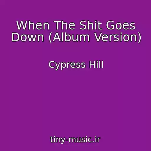 کاور آهنگ When The Shit Goes Down (Album Version) از Cypress Hill