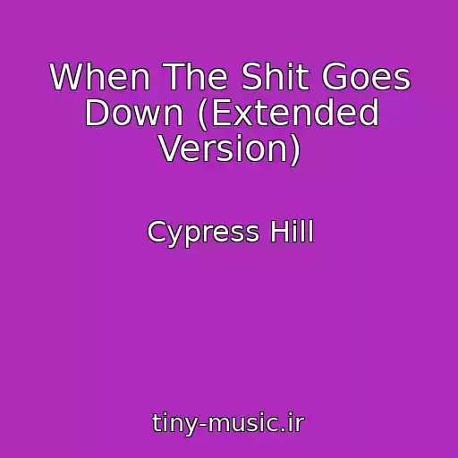 کاور آهنگ When The Shit Goes Down (Extended Version) از Cypress Hill