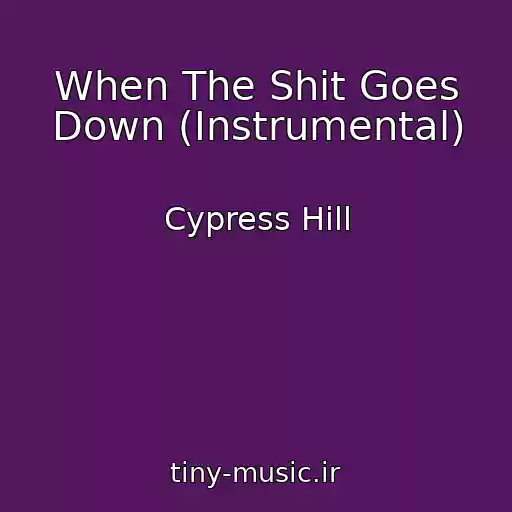 کاور آهنگ When The Shit Goes Down (Instrumental) از Cypress Hill
