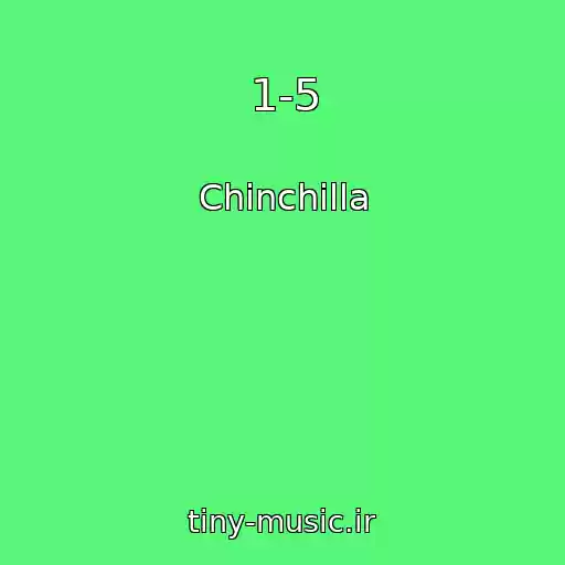 کاور آهنگ 1-5 از Chinchilla